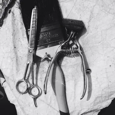 Barber scissors and clippers