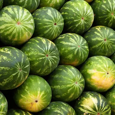 Stacked watermelons