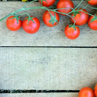 Vine tomatoes on a board