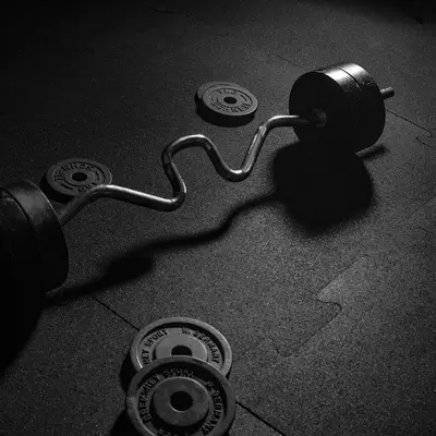 Barbell and weight plates