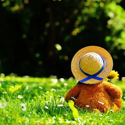 Knitted teddy bear on the grass