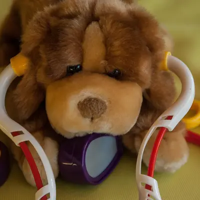 Toy dog wearing a stethoscope